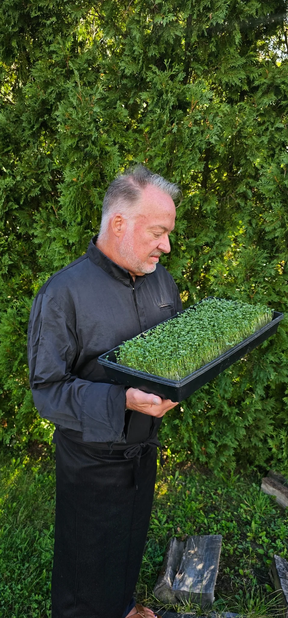 Chef Todd Singleton holding a tray of microgreens