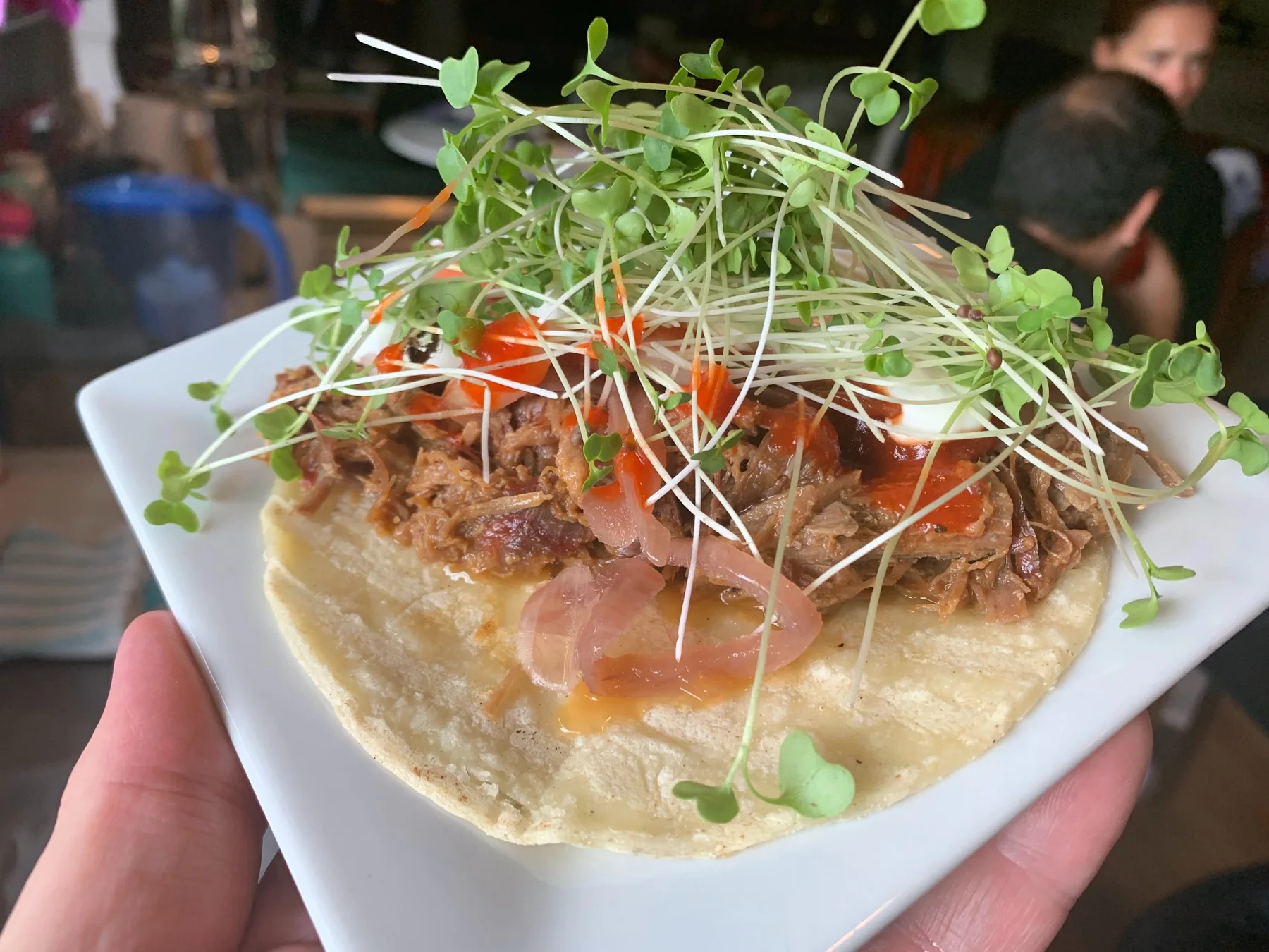 Prepared dish finished with microgreens